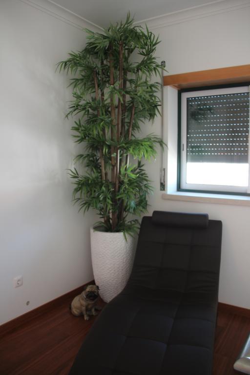 Olive View Vila Nova da Barquinha Exterior foto
